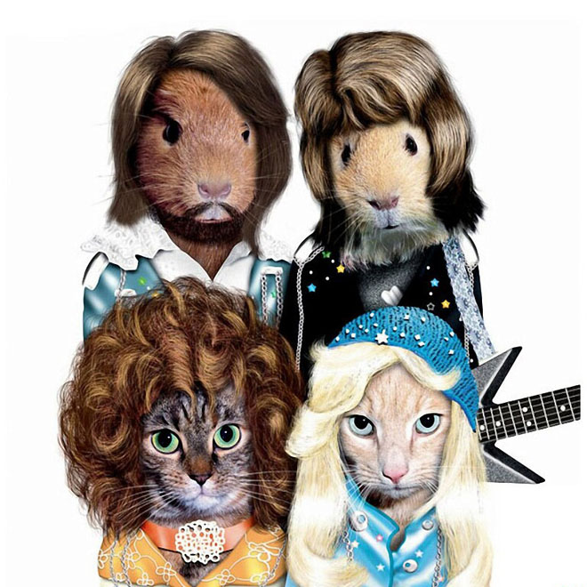 ABBA - Dog Disguisefamous person faces celebrity animal funny